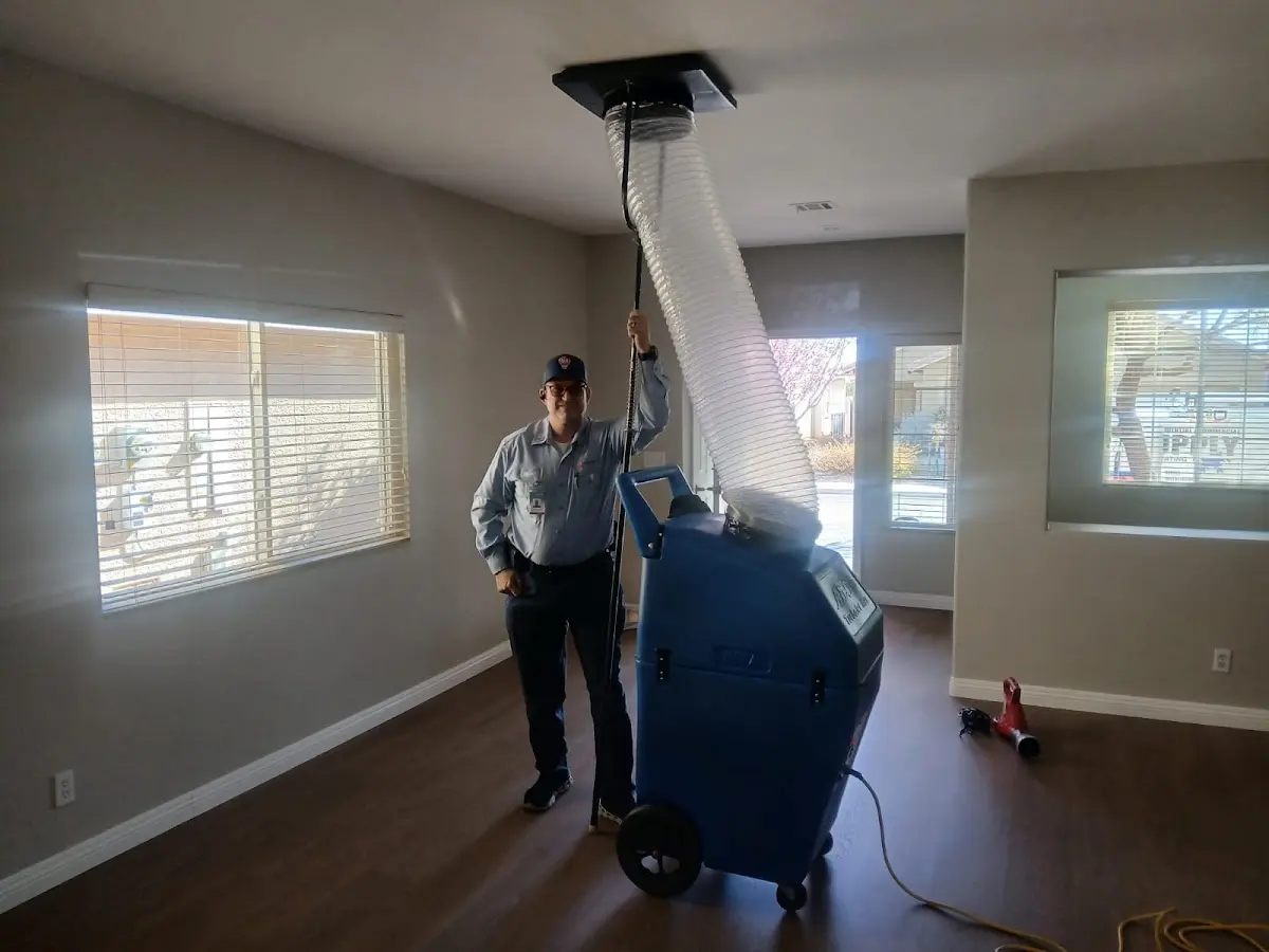 Professional Dryer Vent Cleaning work inside a Lewisville home